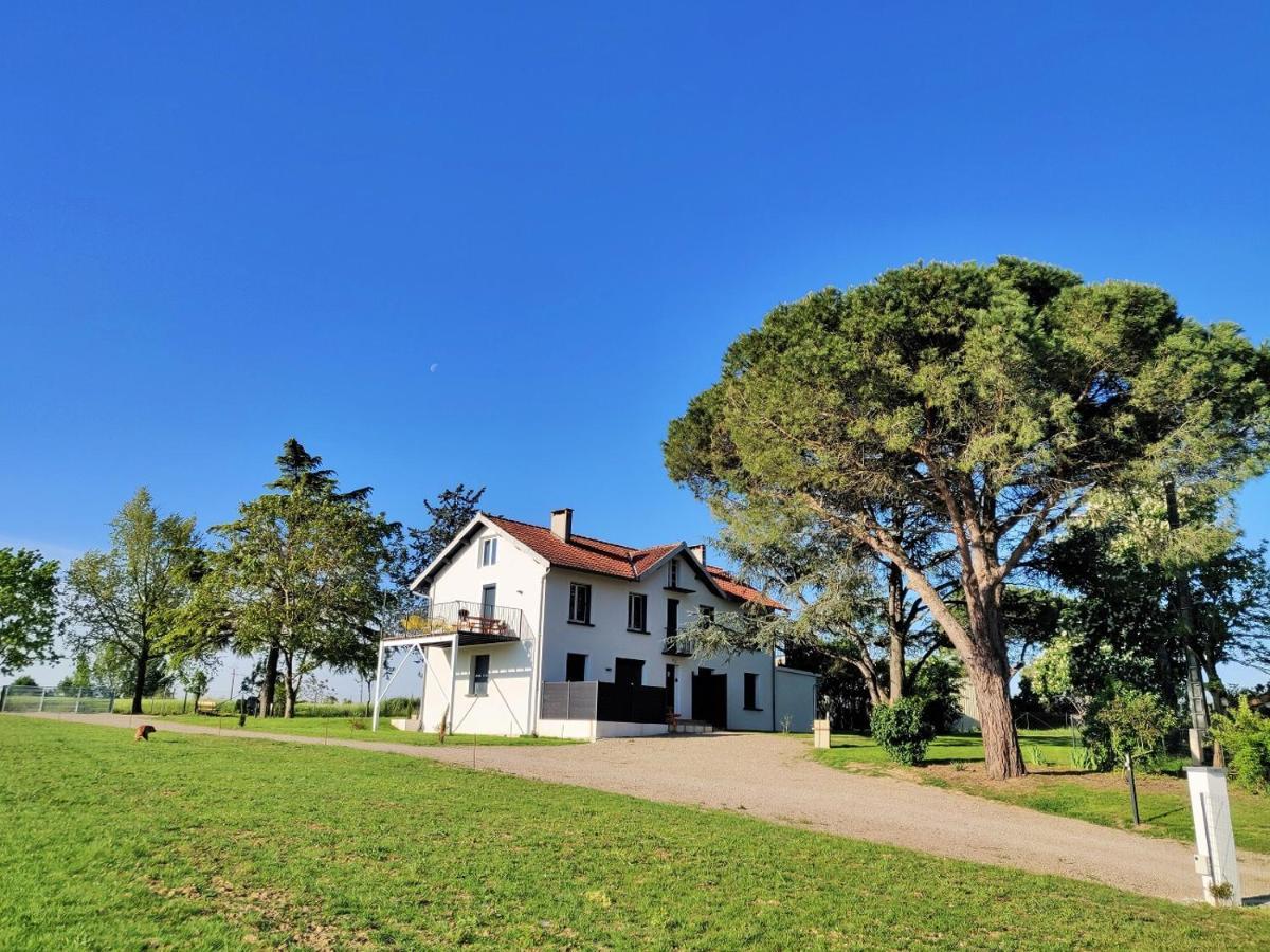 Le Cottage Duo Vigne Rouge Sauna Gaillac Entre Albi-Toulouse & Les Cottages Du Tarn Brens  エクステリア 写真